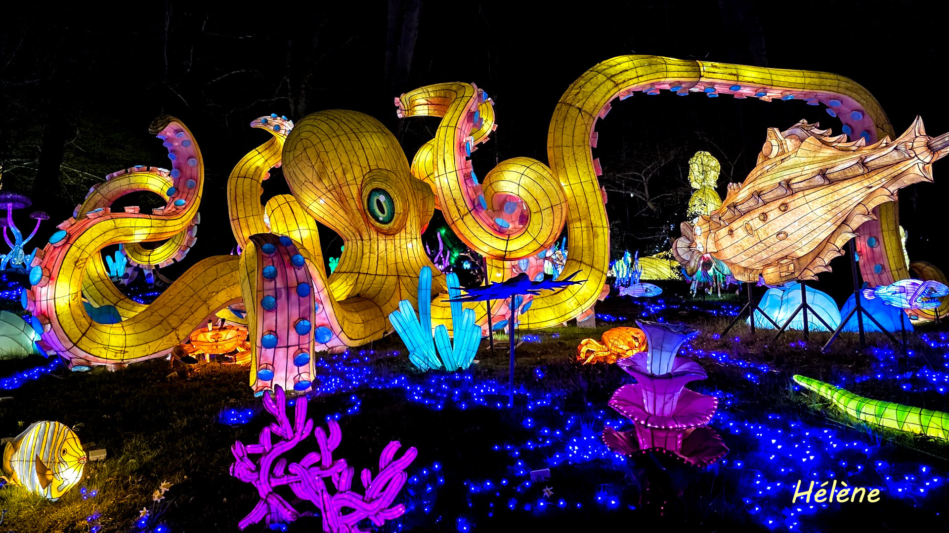 THOIRY -Illumination ,  Lumières sauvages 2025-2026